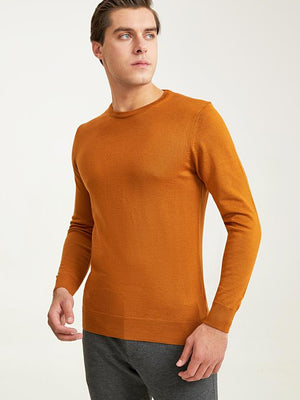 Ds Damat Regular Fit Brown Plain Knitted Sweater-D'S DAMAT ONLINE